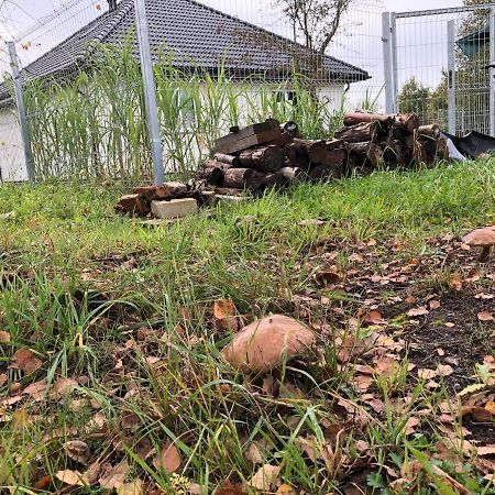 Domek Pod Lasem Ustka Exteriör bild