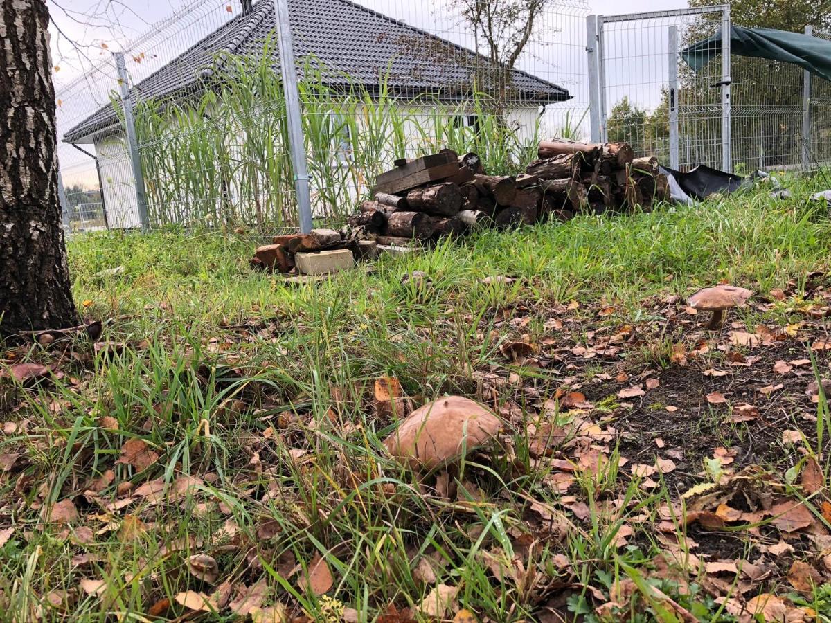 Domek Pod Lasem Ustka Exteriör bild